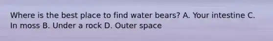 Where is the best place to find water bears? A. Your intestine C. In moss B. Under a rock D. Outer space