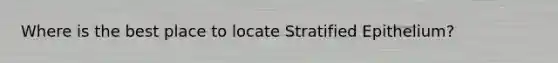 Where is the best place to locate Stratified Epithelium?