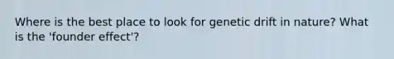 Where is the best place to look for genetic drift in nature? What is the 'founder effect'?
