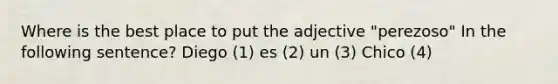 Where is the best place to put the adjective "perezoso" In the following sentence? Diego (1) es (2) un (3) Chico (4)