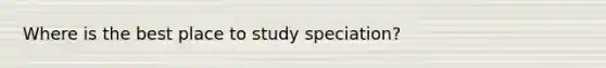 Where is the best place to study speciation?