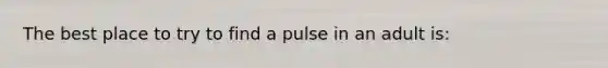 The best place to try to find a pulse in an adult is: