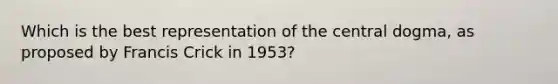 Which is the best representation of the central dogma, as proposed by Francis Crick in 1953?