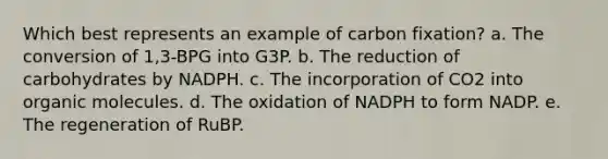 Which best represents an example of carbon fixation? a. The conversion of 1,3-BPG into G3P. b. The reduction of carbohydrates by NADPH. c. The incorporation of CO2 into organic molecules. d. The oxidation of NADPH to form NADP. e. The regeneration of RuBP.