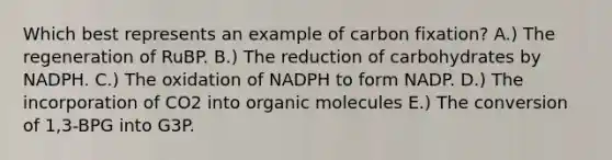 Which best represents an example of carbon fixation? A.) The regeneration of RuBP. B.) The reduction of carbohydrates by NADPH. C.) The oxidation of NADPH to form NADP. D.) The incorporation of CO2 into <a href='https://www.questionai.com/knowledge/kjUwUacPFG-organic-molecules' class='anchor-knowledge'>organic molecules</a> E.) The conversion of 1,3-BPG into G3P.