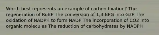 Which best represents an example of carbon fixation? The regeneration of RuBP The conversion of 1,3-BPG into G3P The oxidation of NADPH to form NADP The incorporation of CO2 into organic molecules The reduction of carbohydrates by NADPH