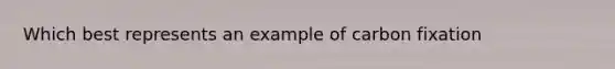 Which best represents an example of carbon fixation