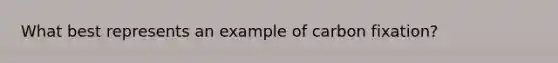 What best represents an example of carbon fixation?