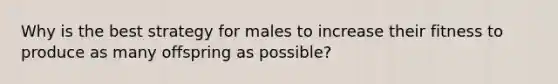 Why is the best strategy for males to increase their fitness to produce as many offspring as possible?