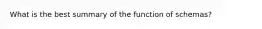 What is the best summary of the function of schemas?