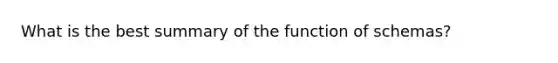 What is the best summary of the function of schemas?