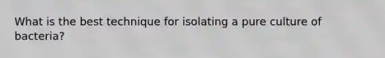 What is the best technique for isolating a pure culture of bacteria?