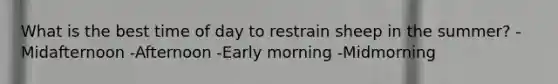 What is the best time of day to restrain sheep in the summer? -Midafternoon -Afternoon -Early morning -Midmorning