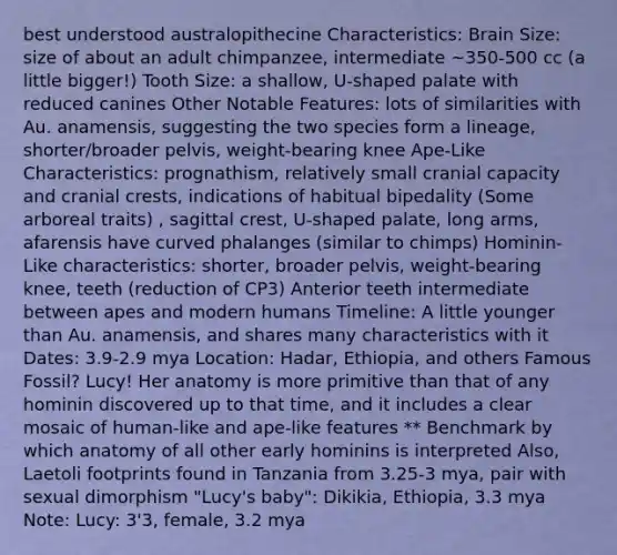 best understood australopithecine Characteristics: Brain Size: size of about an adult chimpanzee, intermediate ~350-500 cc (a little bigger!) Tooth Size: a shallow, U-shaped palate with reduced canines Other Notable Features: lots of similarities with Au. anamensis, suggesting the two species form a lineage, shorter/broader pelvis, weight-bearing knee Ape-Like Characteristics: prognathism, relatively small cranial capacity and cranial crests, indications of habitual bipedality (Some arboreal traits) , sagittal crest, U-shaped palate, long arms, afarensis have curved phalanges (similar to chimps) Hominin-Like characteristics: shorter, broader pelvis, weight-bearing knee, teeth (reduction of CP3) Anterior teeth intermediate between apes and modern humans Timeline: A little younger than Au. anamensis, and shares many characteristics with it Dates: 3.9-2.9 mya Location: Hadar, Ethiopia, and others Famous Fossil? Lucy! Her anatomy is more primitive than that of any hominin discovered up to that time, and it includes a clear mosaic of human-like and ape-like features ** Benchmark by which anatomy of all other early hominins is interpreted Also, Laetoli footprints found in Tanzania from 3.25-3 mya, pair with sexual dimorphism "Lucy's baby": Dikikia, Ethiopia, 3.3 mya Note: Lucy: 3'3, female, 3.2 mya