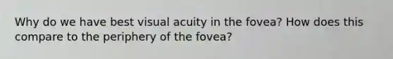 Why do we have best visual acuity in the fovea? How does this compare to the periphery of the fovea?