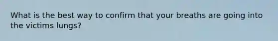 What is the best way to confirm that your breaths are going into the victims lungs?