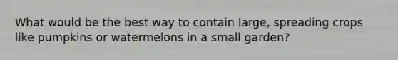 What would be the best way to contain large, spreading crops like pumpkins or watermelons in a small garden?