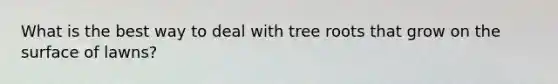 What is the best way to deal with tree roots that grow on the surface of lawns?