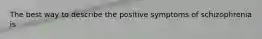 The best way to describe the positive symptoms of schizophrenia is