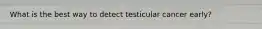 What is the best way to detect testicular cancer early?
