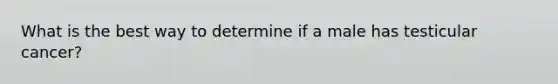 What is the best way to determine if a male has testicular cancer?
