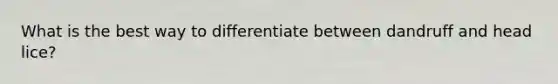 What is the best way to differentiate between dandruff and head lice?