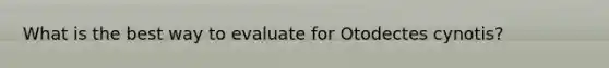 What is the best way to evaluate for Otodectes cynotis?