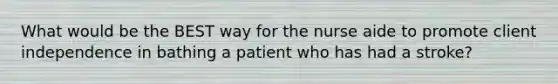 What would be the BEST way for the nurse aide to promote client independence in bathing a patient who has had a stroke?