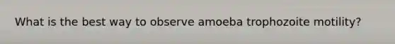 What is the best way to observe amoeba trophozoite motility?