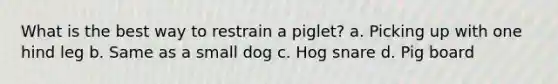 What is the best way to restrain a piglet? a. Picking up with one hind leg b. Same as a small dog c. Hog snare d. Pig board