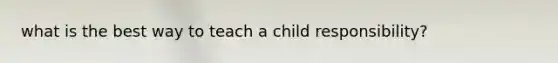 what is the best way to teach a child responsibility?