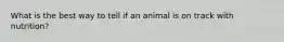 What is the best way to tell if an animal is on track with nutrition?