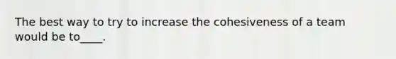 The best way to try to increase the cohesiveness of a team would be to____.