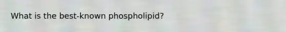 What is the best-known phospholipid?