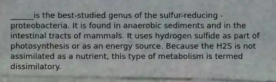 ______is the best-studied genus of the sulfur-reducing -proteobacteria. It is found in anaerobic sediments and in the intestinal tracts of mammals. It uses hydrogen sulfide as part of photosynthesis or as an energy source. Because the H2S is not assimilated as a nutrient, this type of metabolism is termed dissimilatory.