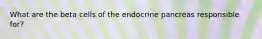 What are the beta cells of the endocrine pancreas responsible for?