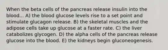 When the beta cells of the pancreas release insulin into the blood... A) the blood glucose levels rise to a set point and stimulate glucagon release. B) the skeletal muscles and the adipose cells take up glucose at a faster rate. C) the liver catabolizes glycogen. D) the alpha cells of the pancreas release glucose into the blood. E) the kidneys begin gluconeogenesis.