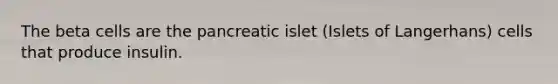 The beta cells are the pancreatic islet (Islets of Langerhans) cells that produce insulin.