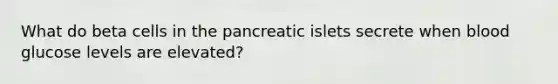 What do beta cells in the pancreatic islets secrete when blood glucose levels are elevated?