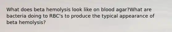 What does beta hemolysis look like on blood agar?What are bacteria doing to RBC's to produce the typical appearance of beta hemolysis?