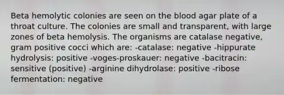 Beta hemolytic colonies are seen on <a href='https://www.questionai.com/knowledge/k7oXMfj7lk-the-blood' class='anchor-knowledge'>the blood</a> agar plate of a throat culture. The colonies are small and transparent, with large zones of beta hemolysis. The organisms are catalase negative, gram positive cocci which are: -catalase: negative -hippurate hydrolysis: positive -voges-proskauer: negative -bacitracin: sensitive (positive) -arginine dihydrolase: positive -ribose fermentation: negative