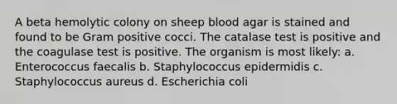 A beta hemolytic colony on sheep blood agar is stained and found to be Gram positive cocci. The catalase test is positive and the coagulase test is positive. The organism is most likely: a. Enterococcus faecalis b. Staphylococcus epidermidis c. Staphylococcus aureus d. Escherichia coli