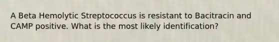 A Beta Hemolytic Streptococcus is resistant to Bacitracin and CAMP positive. What is the most likely identification?