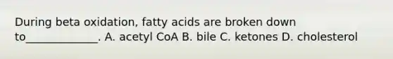 During beta oxidation, fatty acids are broken down to_____________. A. acetyl CoA B. bile C. ketones D. cholesterol