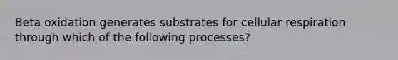 Beta oxidation generates substrates for cellular respiration through which of the following processes?