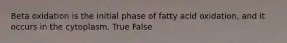 Beta oxidation is the initial phase of fatty acid oxidation, and it occurs in the cytoplasm. True False