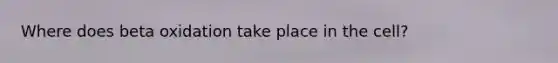 Where does beta oxidation take place in the cell?