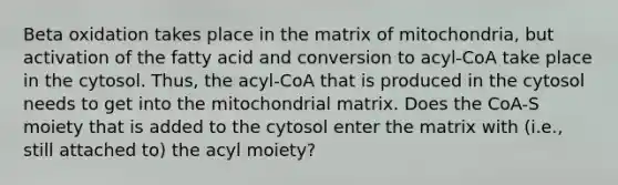 Beta oxidation takes place in the matrix of mitochondria, but activation of the fatty acid and conversion to acyl-CoA take place in the cytosol. Thus, the acyl-CoA that is produced in the cytosol needs to get into the mitochondrial matrix. Does the CoA-S moiety that is added to the cytosol enter the matrix with (i.e., still attached to) the acyl moiety?