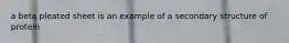 a beta pleated sheet is an example of a secondary structure of protein