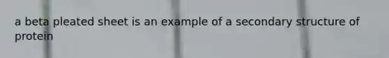 a beta pleated sheet is an example of a secondary structure of protein